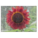 Recherche de rouille planches à découper Rouge