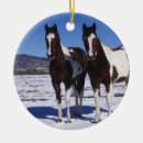 Search for paint horse ornaments Snow