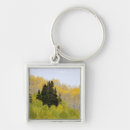 Search for gunnison keychains Gunnison national forest