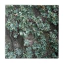 Search for tree bark tiles Natural