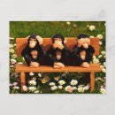 Search for evil postcards Monkey