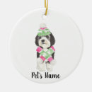 Search for bernedoodle ornaments Sheepadoodle