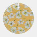 Search for cosmos ornaments Flower