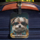 Recherche de humoristique accessoires Animal