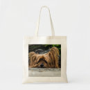 Recherche de yorkshire terrier sacs Canin
