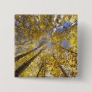Search for autumn tree buttons Yellow