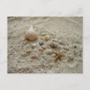 Recherche de micro cartes postales Image des coquillages