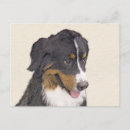 Search for mountain dog postcards Cute