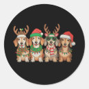 Search for dachshund dog stickers Pyjamas