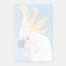 Recherche de mohawk posters Portrait d'oiseaux