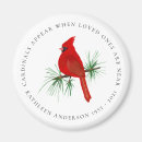 Search for appeared magnets Red bird