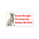 Search for golden retriever puppy return address labels Puppies