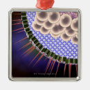 Search for virus ornaments Medical