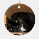 Search for black and white cat ornaments Whimsical