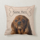 Recherche de espagne coussins Rouge