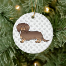 Search for long haired dachshund ornaments Animal