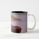 Search for denali national park mugs Outdoors