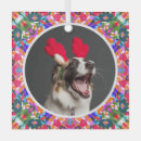 Search for cat picture ornaments For her
