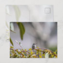Search for garden birds postcards Wildlife