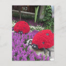 Search for for sons girlfriend cards Mom