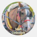 Recherche de style occidental autocollants Cheval de trait