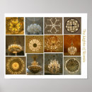 Search for chandelier posters Russia