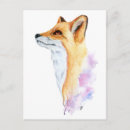 Search for red foxes postcards Illustration