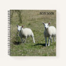 Search for cute sheep notebooks Adorable