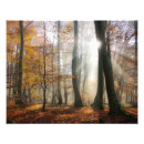 Recherche de hanté posters Nature