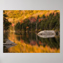 Search for pond reflection posters Forest