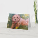 Search for ocassions cards Dog