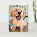 Search for smiling puppy cards Golden retriever