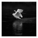 Recherche de oiseau de b art Animal