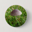 Search for mushroom buttons Nature