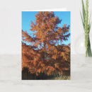 Search for christian autumn cards Blessings