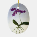 Recherche de orchidée ornements Botanique
