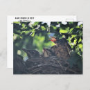 Recherche de cambriolage cartes postales Faune