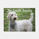 Recherche de caniche photographie Dog