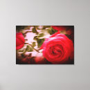 Search for rose colored art Flowers