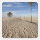 Search for sahara stickers Douz
