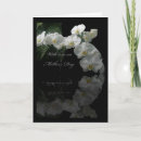Search for mothe cards Mom