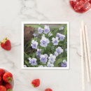 Search for pansy napkins Pansies