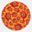 Search for gerber stickers Daisies