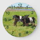 Recherche de ceinture horloges Vache