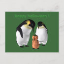 Search for baby birds postcards Antarctica