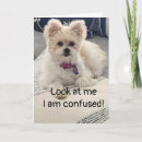 Recherche de je suis confus vœux cartes Famille