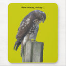 Search for falcons mousepads Bird of prey