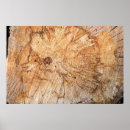 Search for section art Background