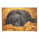 Search for spaniel pillowcases Animal