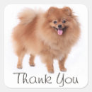 Search for pom stickers Puppy